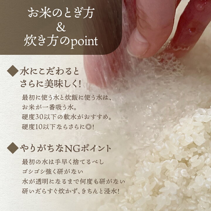 楽天市場】【数量限定】令和7年産 こしひかり 玄米 飛騨っ晴れ 5kg 