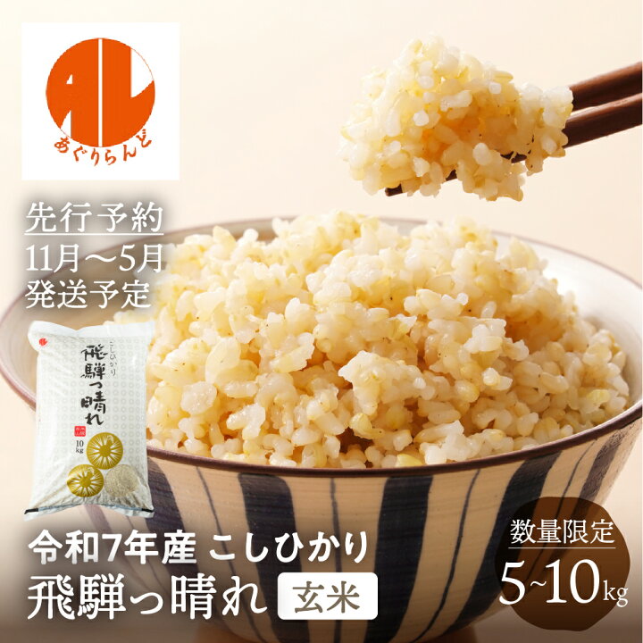 楽天市場】【数量限定】令和7年産 こしひかり 玄米 飛騨っ晴れ 5kg 