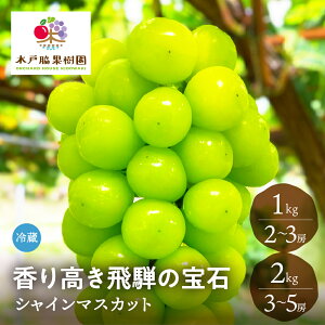 s910`\tVC}XJbg 1kg 2kg ،˘eʎ Y Ԃǂ uhE }XJbg Ȃ 炲ƐHׂ ʕ t[c  햳 ˍR  Yn 