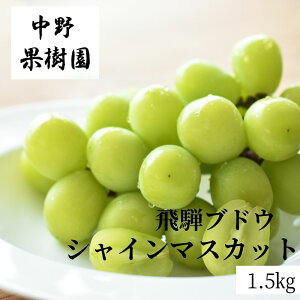s920`1015\t˃uhE VC}XJbg 1.5kg 3[ ߘa7NY 2025NY Y Ԃǂ uhE }XJbg Ȃ 炲ƐHׂ ʕ t[c  햳 ˍR