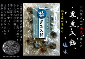 新商品 黒豆入飴 塩飴 100g 1ケース×6入り 飴 美味しい飴 お取り寄せ まとめ買い 塩 塩あめ 業務用 豆入り お菓子 大量 お配り用 ばらまき 黒豆お菓子 黒豆おやつ 塩味 塩アメ あめ キャンディー キャンディ 個包装 豆菓子 飴菓子 健康 おかし 美味しいお菓子 送料無料