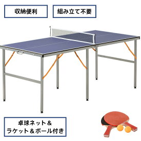 【全品P5倍＋5%OFF】卓球台 折りたたみ 家庭用セット 小型卓球テーブル 省スペース収納 ネット付き ラケット付き 卓球ボール付き 自主練習対応