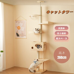 Lbg^[ L^[ Lbgc[ X ˂ 260cm ؓo^[ lR^[ FDt 艺肵₷ ܂Ƃ|[ ؐ  qL ^L }bgt ybgpi 