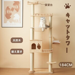 y撅1005N[|zLbg^[ L^[ Lbgc[ 184cm u  FD lR^[ 艺肵₷ ܂Ƃ|[ ؐ  qL ^L ybgpi 