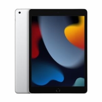 APPLE アップル MK2P3J A 10.2インチ 256GB シルバー iPad Wi-Fiモデル 第9世代 最安値に挑戦 毎日激安特売で 営業中です