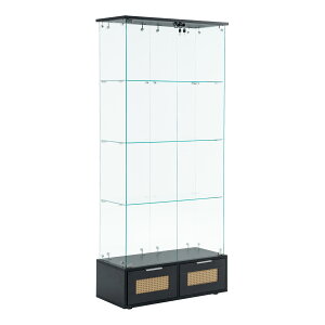�y5��OFF! 4/9 23:59�܂Ł��z�y��80.5cm �S�ʃK���X���J���zOSJ �R���N�V�����P�[�X ���[�f�B�X�v���C 4�i �����o���t�� �����K���X �t�B�M���A�P�[�X ���C�h ����184.5cm