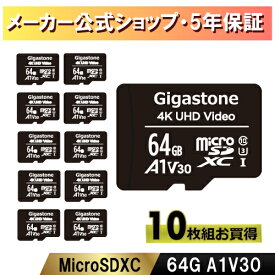 保証5年 Gigastone マイクロSDカード 64GB 10枚セット SDXC microSD メモリーカード microsdカード A1 V30 UHS-I U3 クラス10 超高速 90MB/S 4K UHD撮影 動画 デジタル一眼レフ SDカード ドローン Gopro Nintendo Switch確認済 送料無料 ギガストーン