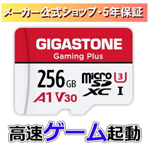 ԎiIۏ5N Gigastone }CNSDJ[h 256GB SDXC A1 V30 microsdJ[h microsd [J[h UHS-I U3 NX10  100MB/S UHDBe fW^჌t SDJ[h XCb` Gopro X}z h[