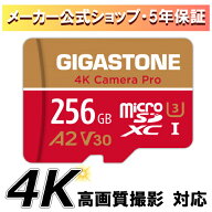 【5年データ復旧・無償交換保証】GIGASTONE マイクロsdカード 256GB 4K Camera Pro microSDXC UHS-I A2 V…