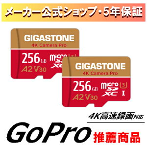 yۏ5NzGigastone }CNSDJ[h 256GB SDXC 2Zbg microSD microsdJ[h [J[h A2 V30 UHS-I U3 NX10 Ultra HD 4K 100MB/s rfI^ ჌tJ X}z f[^ۑ fWJ 