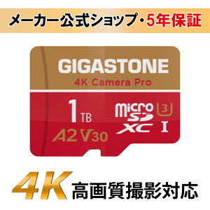 yۏ5NzGigastone }CNSDJ[h 1TB SDXC microSD microsdJ[h [J[h A2 V30 U3 NX10 Ultra HD 4K 150MB/s rfI^ fWJ ჌tJ X}z f[^ۑ h[yGoPro/N