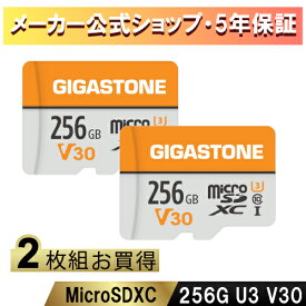 新発売！保証5年 Gigastone マイクロSDカード 256GB 2枚セット SDXC microSD microsdカード メモリーカード V30 UHS-I U3 クラス10 Ultra HD 4K 超高速100MB/s ビデオ録画 一眼レフカメラ スマホ データ保存 ドローン【GoPro/Nintendo Switch確認済】ギガストーン