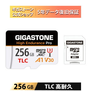 �y5�N�f�[�^�����E���������ۏ؁zGIGASTONE �}�C�N��sd�J�[�h 128GB High Endurance Pro microSDXC UHS-1 A1 V30 U3 C10 100MB/s TLC ���ϋv 4K UHD �r�f�I�B�e �h�ƃJ���� �h���C�u���R�[�_�[ �Ď��J�����Ή� SD�A�_