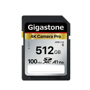 yۏ5NzGigastone SDJ[h 512GB SDXC [J[h UHS-I U3 NX10 rfIJ sdJ[h  100MB/s SDXC 4K Ultra HD fWJ ჌t fW^J ჌tJ 4krfIJ A
