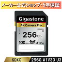 ポイント7倍還元！【保証5年】Gigastone SDカード 256GB SDXC メモリーカード UHS-I U3 クラス10 ビデオカメラ sdカード 超高速 100MB/s SDXC 4K Ultra HD デジカメラ 一眼レフ デジタルカメラ 一眼レフカメラ 4kビデオカメラ アクションカメラ ギガストーン