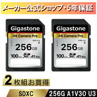【5年データ復旧・無償交換保証】GIGASTONE SDカード 256GB 2個セット 4K Camera Pro SDXC UHS-I A1 V30 …