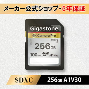 yۏ5NzGigastone SDJ[h 256GB SDXC [J[h UHS-I U3 NX10 rfIJ sdJ[h  100MB/s SDXC 4K Ultra HD fWJ ჌t fW^J ჌tJ 4krfIJ A