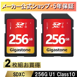 yۏ5NzGigastone SDJ[h 256GB SDXC [J[h UHS-I U1 NX10 rfIJsdJ[h  100MB/s 4K Ultra HD Be fWJ sdJ[h ჌tJ fW^J 4krfIJ AN
