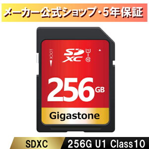 yۏ5NzGigastone SDJ[h 256GB SDXC [J[h UHS-I U1 NX10 rfIJsdJ[h  100MB/s 4K Ultra HD Be fWJ sdJ[h ჌tJ fW^J 4krfIJ AN