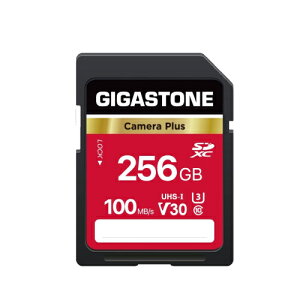 yۏ5NzGigasotne SDJ[h 256GB SDXC [J[h V30 UHS-I U3 NX10 rfIJ  100MB/s 4K Ultra HD Be  fWJ sdJ[h ჌tJ fW^J 4krfIJ AN