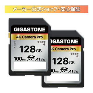 �y5�N�f�[�^�����E���������ۏ؁zGIGASTONE SD�J�[�h 128GB 2�Z�b�g 4K Camera Pro SDXC UHS-I A1 V30 U3 C10 100MB/s ���� 4K UHD & Full HD �r�f�I Canon Nikon Sony Pentax Kodak Olympus Panasonic�Ȃ� �f�W�^���J���� ��჌