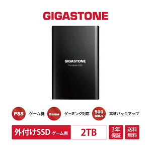 ԎoIyۏ3NzyPS5/PS4ΉzGIGASTONE OtSSD 2TB |[^u SSD RpNg SSD 500 MB/s yʐ݌v 3D NAND USB3.2 Gen1 USB Type C & USB Type A P[u2{t 