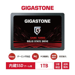 ���ʌ���I�y�ۏ�5�N�z�yPS4�Ή��zGIGASTONE 2.5�C���` ����SSD 512GB 3D NAND�̗p �ő�550MB/s ������SSD PS4 �Q�[���@ PC�Ή� 7mm SATA3 6Gb/s ��������