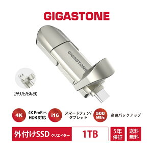 ʌyۏ5NzyProRes/iPhone16ΉzGIGASTONE OtSSD 512GB USB3.2 Gen2 ő500MB/s Apple 4K ProRes HDR^Ή |[^uSSD ^Ey USB-C & USB-A MacBook / iPad / X}z / m[gPCΉ Q