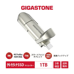 ʌyۏ5NzyProRes/iPhone16ΉzGIGASTONE OtSSD 1TB USB3.2 Gen2 ő500MB/s Apple 4K ProRes HDR^Ή |[^uSSD ^Ey USB-C & USB-A MacBook / iPad / X}z / m[gPCΉ Q