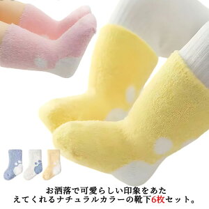 g Ԃ xr[ c {A t \bNX \bNX 6Zbg VM[ C N V ӂӂ Rbg j̎q ̎q  H ~  6Zbg ʋC  킢 