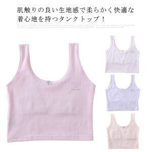 ^Ngbv LbY ̎q K[Y    Ci[ Rbg uW[ C[Ȃ WjA qp w w z 