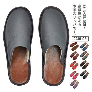 v  n {v fB[X Y [V[Y [Xbp U[  Ɩp qpXbp T_ E Xbp Vv ׂȂ Ȃ 㗚 jZb