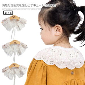  t   hJ ̎q   qhX [X t L[g \  LbY { w q hXp K[Y ǂ Ԃ  tH[