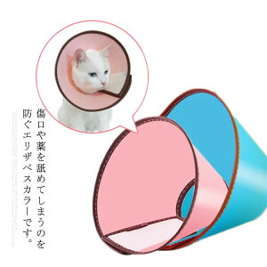 pی Lp p Lbg hbO GUxXJ[ ybgpi ×p e Vv[ rߖh~  pi 畆 TCY