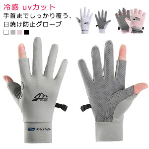 e ⊴ O[u  X}z t Y ڐG⊴ ⊴ St bV fB[X  uvJbg O΍ ėp wȂ w Sw O[u ~߉H UVPA A[Jo[ 