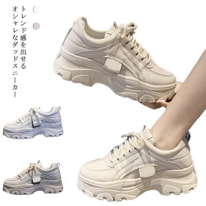 Xj[J[ fB[X _bhV[Y  Xj[J[ C ؍ _bhXj[J[ Cq[V[Y ɂȂ ₷ Ȃ EH[LOV[Y r gAbv r 