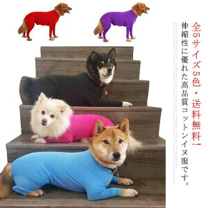 S5TCY5FE!  hbOEFA Jo[I[ ybgEGA  ybg  ybgpi  ^ ^ ^ ^Ngbv Wp[ g[i[ AE^[ R[g 