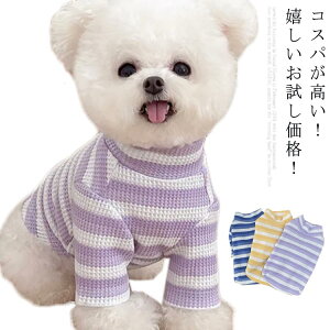 S6TCYE!  ̕ hbOEGA  L  Jo[I[ L̕ ybg ybgEGA ybg g[i[ ybg H~ 킢 ^ ^ ^ ybgp p `
