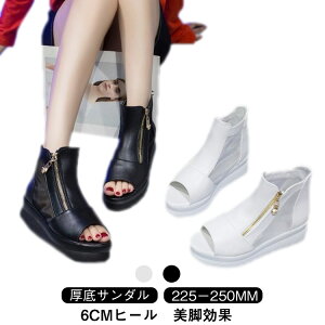  C C u[cT_  fB[X V[Y u[c T}[u[c EFbW\[ I[vgD H t@Xi[t q[  t  y JWA fB[XC f