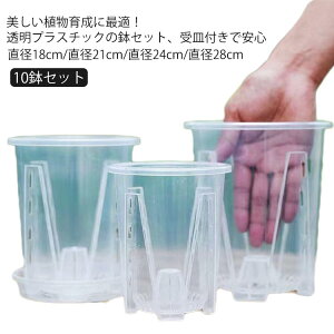 Ӓ t  Ӓ̐Aւ I[Lbh|bg Aؔ Mt 10Zbg ̔ Aؔ m  Aؔ vX`bN O ϗtA A c|bg v^[ ۈ