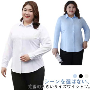  fB[X  ۂ Vc rWlXVc rWlX OLVc 傫TCY tH[}    ItBX  rWlXVc  CVc CVc Vc 