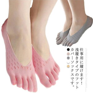 C fB[X ܖ{w\bNX EȂ tbgJo[ 󗚂 XeX pvX\bNX Ȃ ~ RۖhL 5Zbg t X|[c Xj[J[  