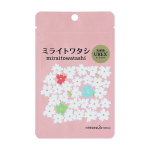 y}\ 11/4 20:00~ 3%OFFz~Cg^V _ UREX [bNX 60 11 fP[gPA fP[g][ ̔Y L tFebN tFPA St[ 30 40 50 