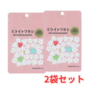 y}\ 11/4 20:00~ 3%OFFzy2܃Zbgz ~Cg^V _ UREX [bNX 60 11 fP[gPA fP[g][ ̔Y L tFebN tFPA St[