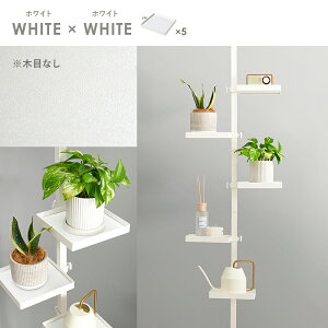 ˂_p[c6_Zbgip^j KTR-3117 [ l炵 V V˂ fBXvC  X RpNg