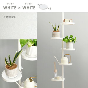 ˂_p[c6_Zbgiی^j KTR-3116 [ l炵 V V˂ fBXvC  X RpNg