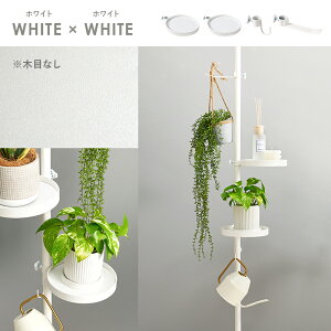 ˂_p[c5_Zbgiی^j KTR-3113 [ l炵 V V˂ fBXvC  X RpNg