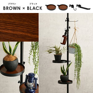 ˂_p[c5_Zbgiی^j KTR-3113 [ l炵 V V˂ fBXvC  X RpNg