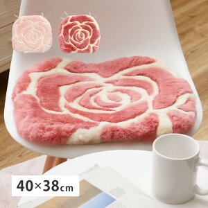[g [YNbV M-2000 40×38cm rO  tANbV \t@ I[V[Y Q ԃV[g zc  a m l炵 [ V