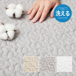 􂦂 Lg O fR[ Rbg 100 Cu O fR[ Lg LeBO }bg }`Jo[ ؍ CeA v[g oYj a 킢  lC ݃J